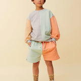 Sweatshorts colourblock